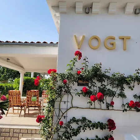 Vogt