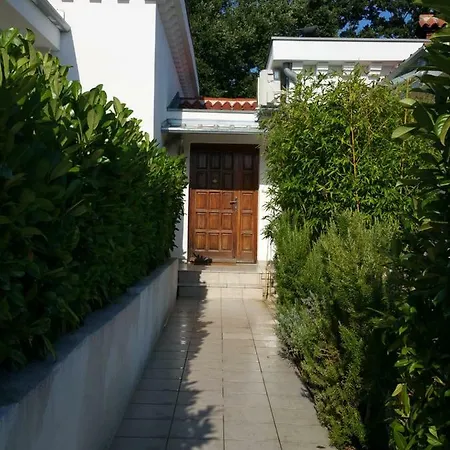 Vogt Holiday home