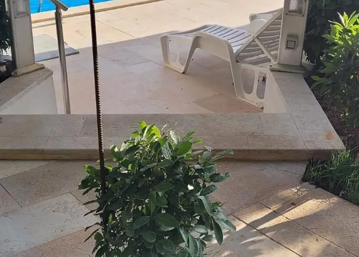 Vogt Poreč